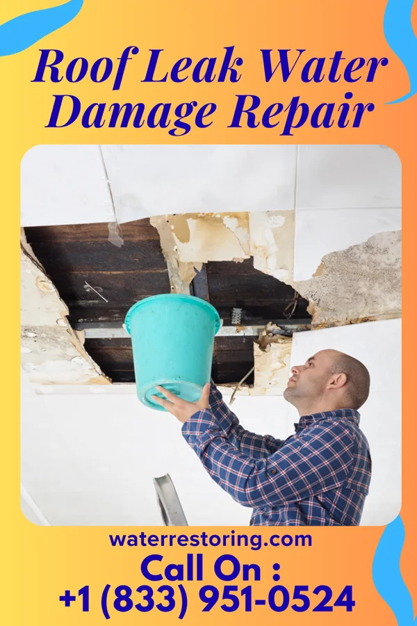 Roof Leak Water Damage Repair in Grandview, MO